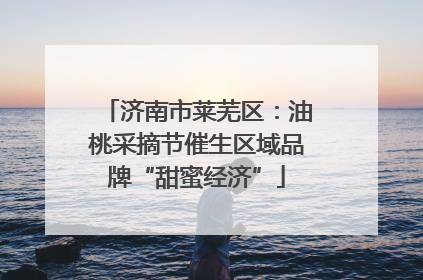 济南市莱芜区：油桃采摘节催生区域品牌“甜蜜经济”