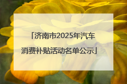 济南市2025年汽车消费补贴活动名单公示