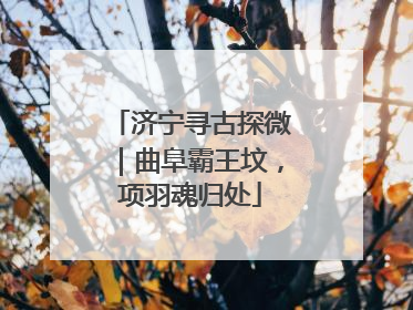 济宁寻古探微｜曲阜霸王坟，项羽魂归处