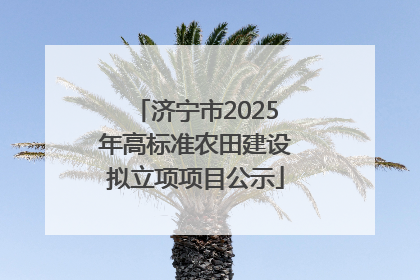济宁市2025年高标准农田建设拟立项项目公示