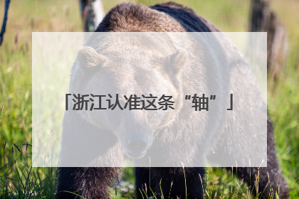 浙江认准这条“轴”
