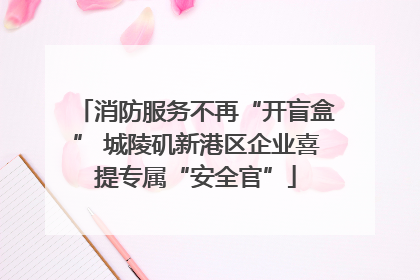 消防服务不再“开盲盒” 城陵矶新港区企业喜提专属“安全官”