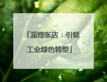 淄博张店：引领工业绿色转型
