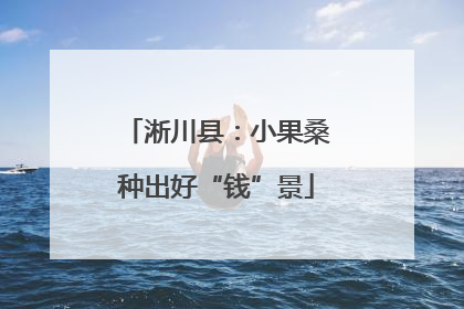 淅川县：小果桑种出好“钱”景