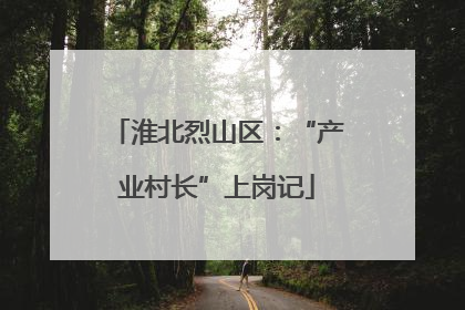 淮北烈山区：“产业村长”上岗记