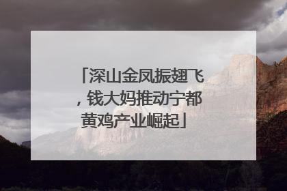 深山金凤振翅飞，钱大妈推动宁都黄鸡产业崛起