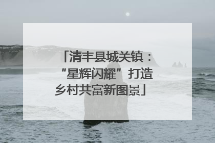 清丰县城关镇：“星辉闪耀”打造乡村共富新图景