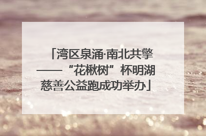 湾区泉涌·南北共擎——“花楸树”杯明湖慈善公益跑成功举办