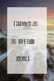 湿地生态美 夏日麋鹿欢