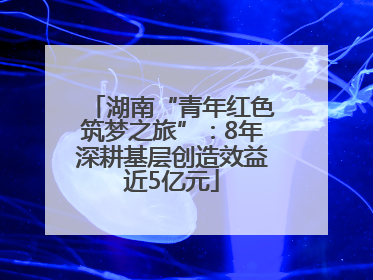 湖南“青年红色筑梦之旅”：8年深耕基层创造效益近5亿元