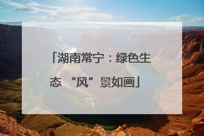 湖南常宁：绿色生态 “风”景如画
