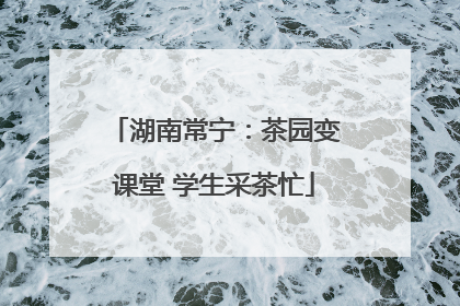 湖南常宁：茶园变课堂 学生采茶忙