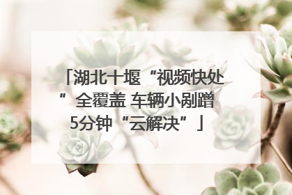 湖北十堰“视频快处”全覆盖 车辆小剐蹭5分钟“云解决”
