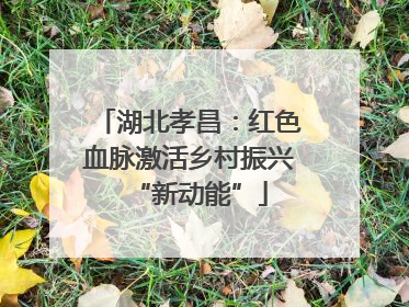 湖北孝昌：红色血脉激活乡村振兴“新动能”
