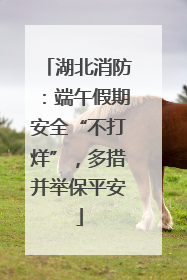 湖北消防：端午假期安全“不打烊”，多措并举保平安