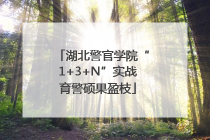 湖北警官学院“1+3+N”实战育警硕果盈枝