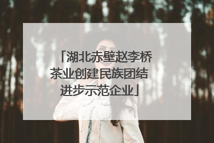 湖北赤壁赵李桥茶业创建民族团结进步示范企业