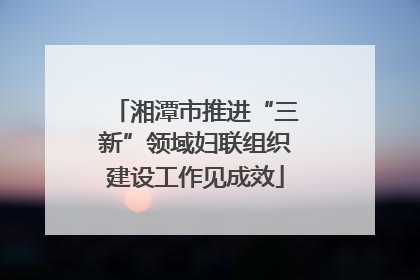 湘潭市推进“三新”领域妇联组织建设工作见成效