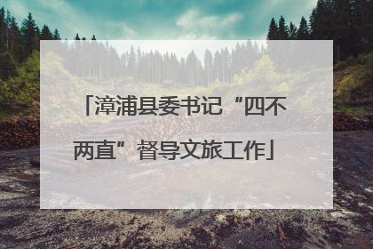 漳浦县委书记“四不两直”督导文旅工作