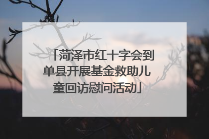 菏泽市红十字会到单县开展基金救助儿童回访慰问活动