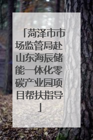 菏泽市市场监管局赴山东海辰储能一体化零碳产业园项目帮扶指导