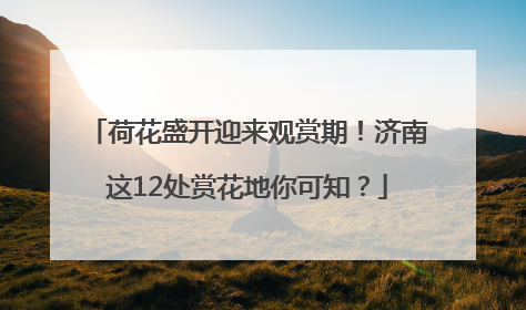 荷花盛开迎来观赏期！济南这12处赏花地你可知？
