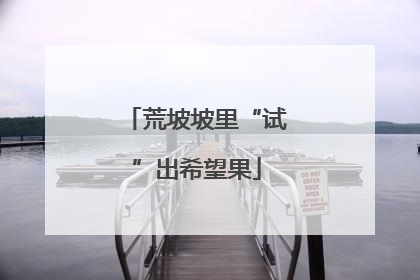 荒坡坡里“试”出希望果