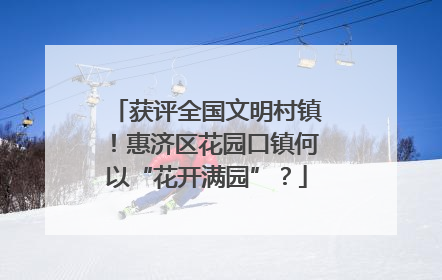 获评全国文明村镇！惠济区花园口镇何以“花开满园”？
