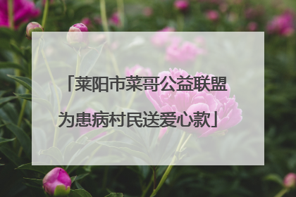莱阳市菜哥公益联盟为患病村民送爱心款