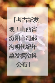 考古新发现！山西省汾阳市冯郝沟明代纪年墓发掘资料公布