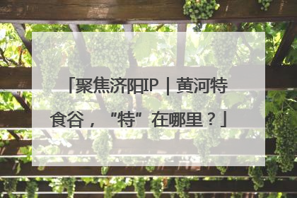 聚焦济阳IP｜黄河特食谷，“特”在哪里？