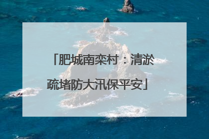 肥城南栾村：清淤疏堵防大汛保平安