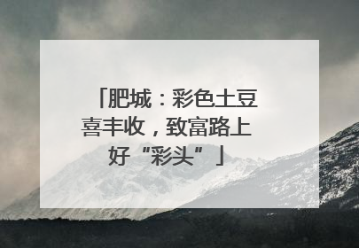 肥城：彩色土豆喜丰收，致富路上好“彩头”