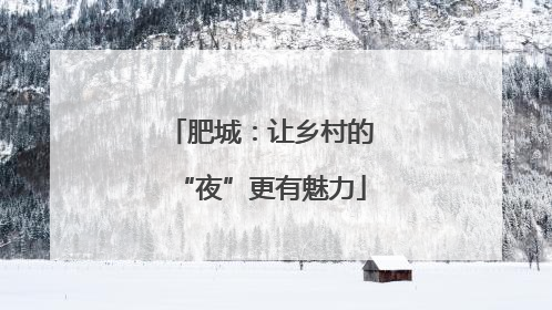 肥城：让乡村的“夜”更有魅力