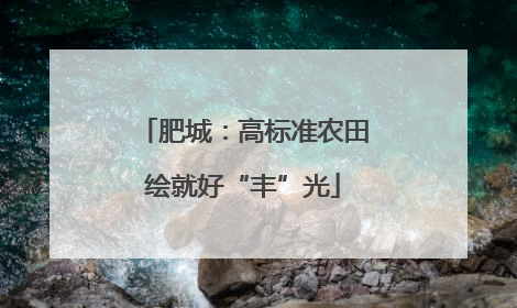 肥城：高标准农田绘就好“丰”光