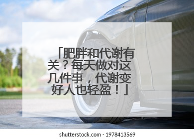 肥胖和代谢有关？每天做对这几件事，代谢变好人也轻盈！