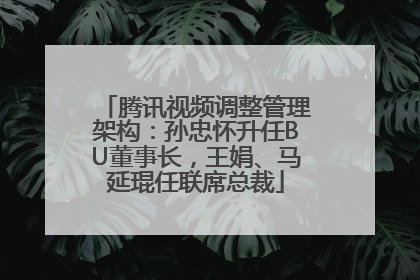 腾讯视频调整管理架构：孙忠怀升任BU董事长，王娟、马延琨任联席总裁