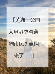 芜湖一公园大喇叭辱骂遛狗市民？真相来了……
