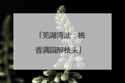芜湖湾沚：桃香满园醉枝头