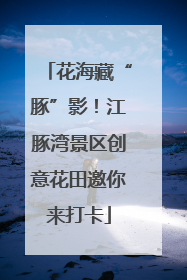 花海藏“豚”影！江豚湾景区创意花田邀你来打卡
