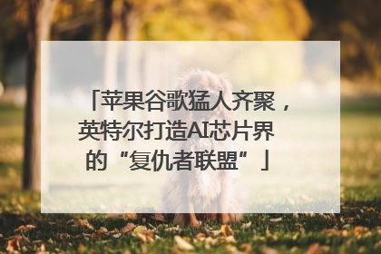苹果谷歌猛人齐聚，英特尔打造AI芯片界的“复仇者联盟”