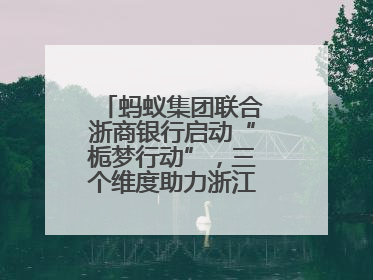 蚂蚁集团联合浙商银行启动“栀梦行动”，三个维度助力浙江下姜村建设共富示范区示范点