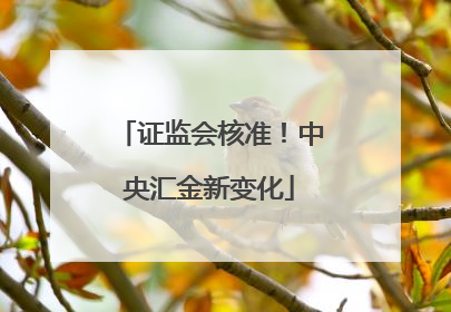 证监会核准！中央汇金新变化