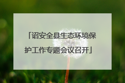 诏安全县生态环境保护工作专题会议召开