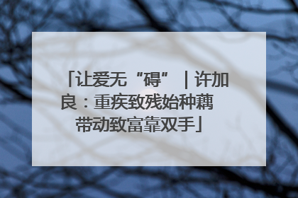 让爱无“碍”｜许加良：重疾致残始种藕 带动致富靠双手