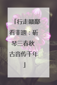 行走赣鄱看非遗：斫琴三春秋 古音传千年