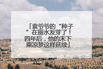 袁爷爷的“种子”在丽水发芽了！四年后，他的禾下乘凉梦这样延续