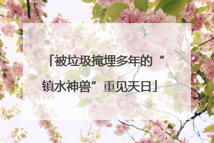 被垃圾掩埋多年的“镇水神兽”重见天日