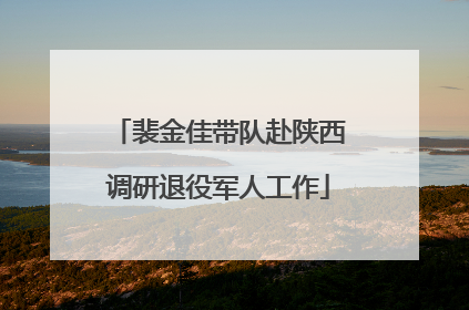 裴金佳带队赴陕西调研退役军人工作
