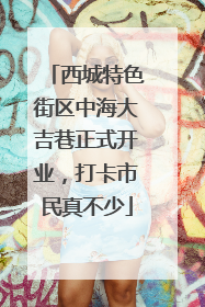 西城特色街区中海大吉巷正式开业，打卡市民真不少